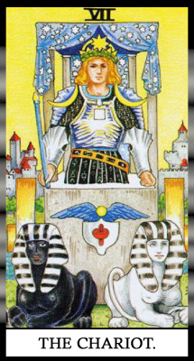 VII ���������.