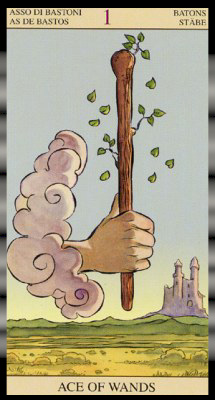 ��� ������.